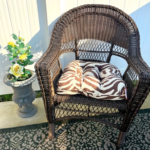 Pier 1 Imports Other - Pier 1 Imports Outdoor Zebra Chair Cushions  ( Set of 4 )